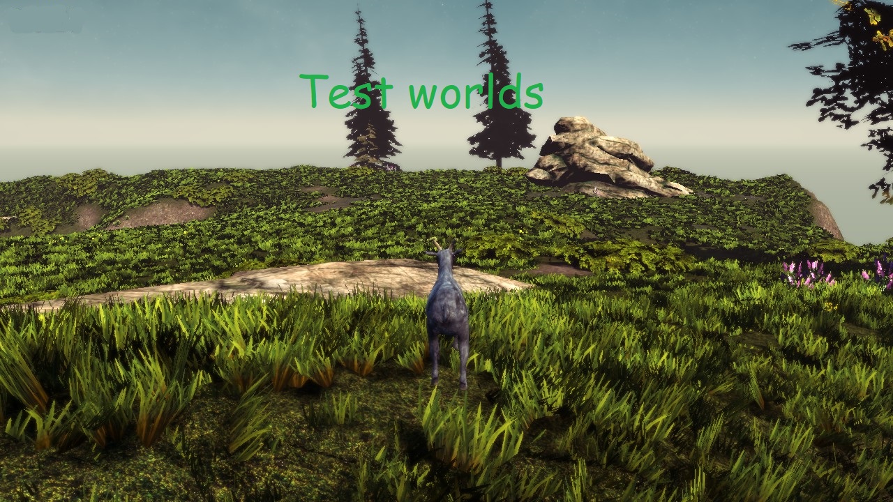 Test Worlds