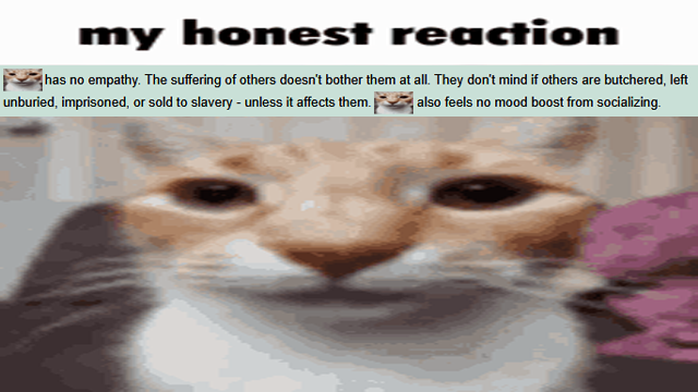 Horrors Don't Faze Me