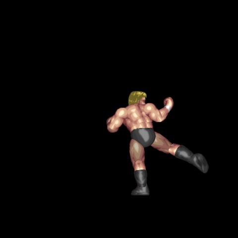 Thai Low Kick