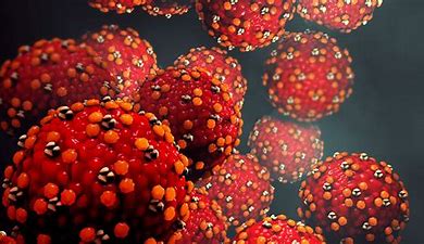 Measels Outbreak