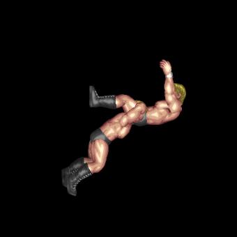 Falling Powerbomb
