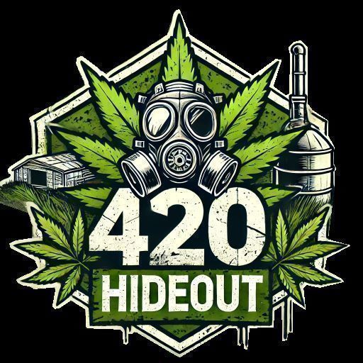Hideout Customs