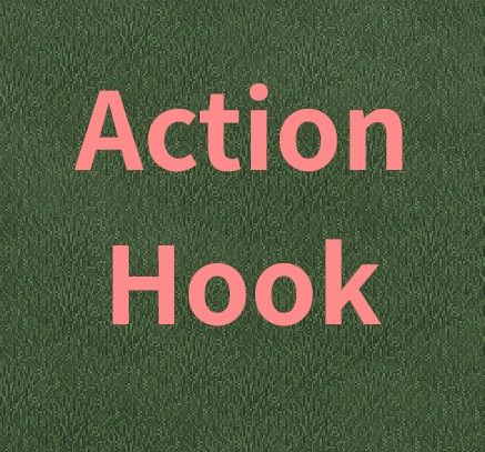 Action Hook