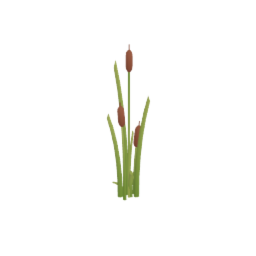 Cattail Reeds V2