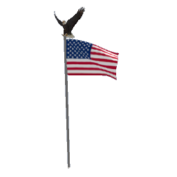 USA Flag