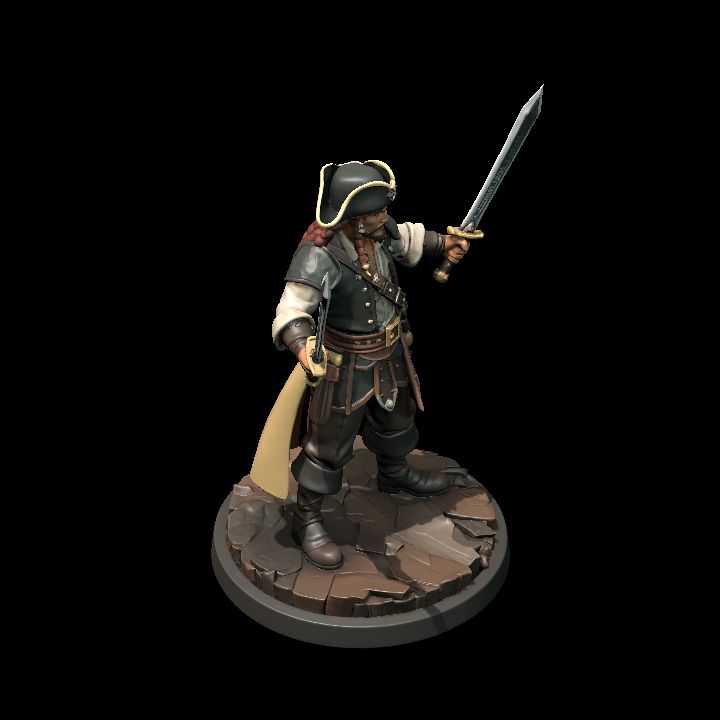 pirate dual wield swords