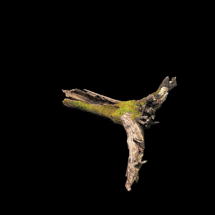 Nature, Tree, Stump 1