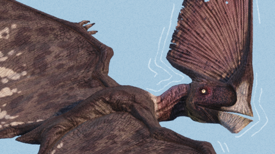 [accepted]Condor Tupa