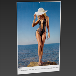 beach girls calendar
