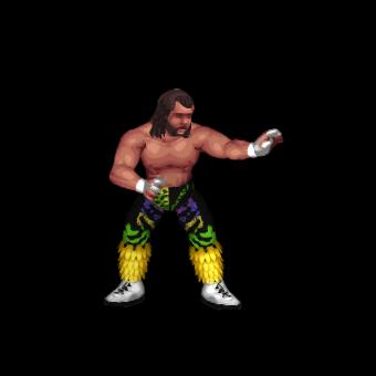 Randy Savage (WCW, mid-90's)