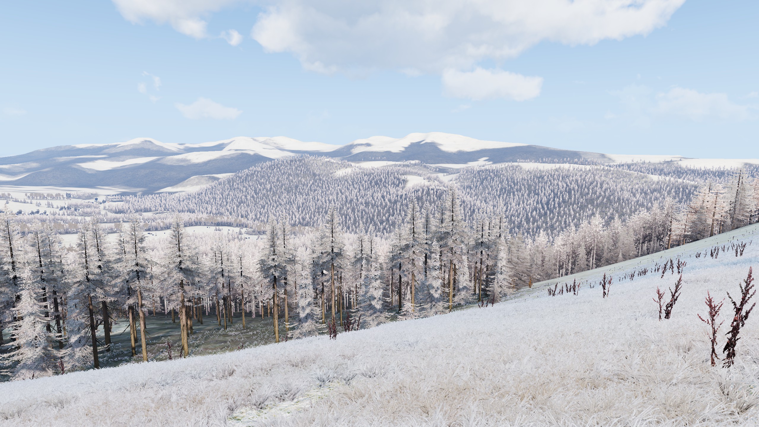 360 Degree Training Course Winter Chernaurus