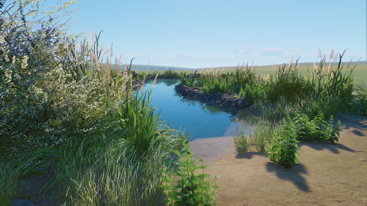 Ornamental Pond 5