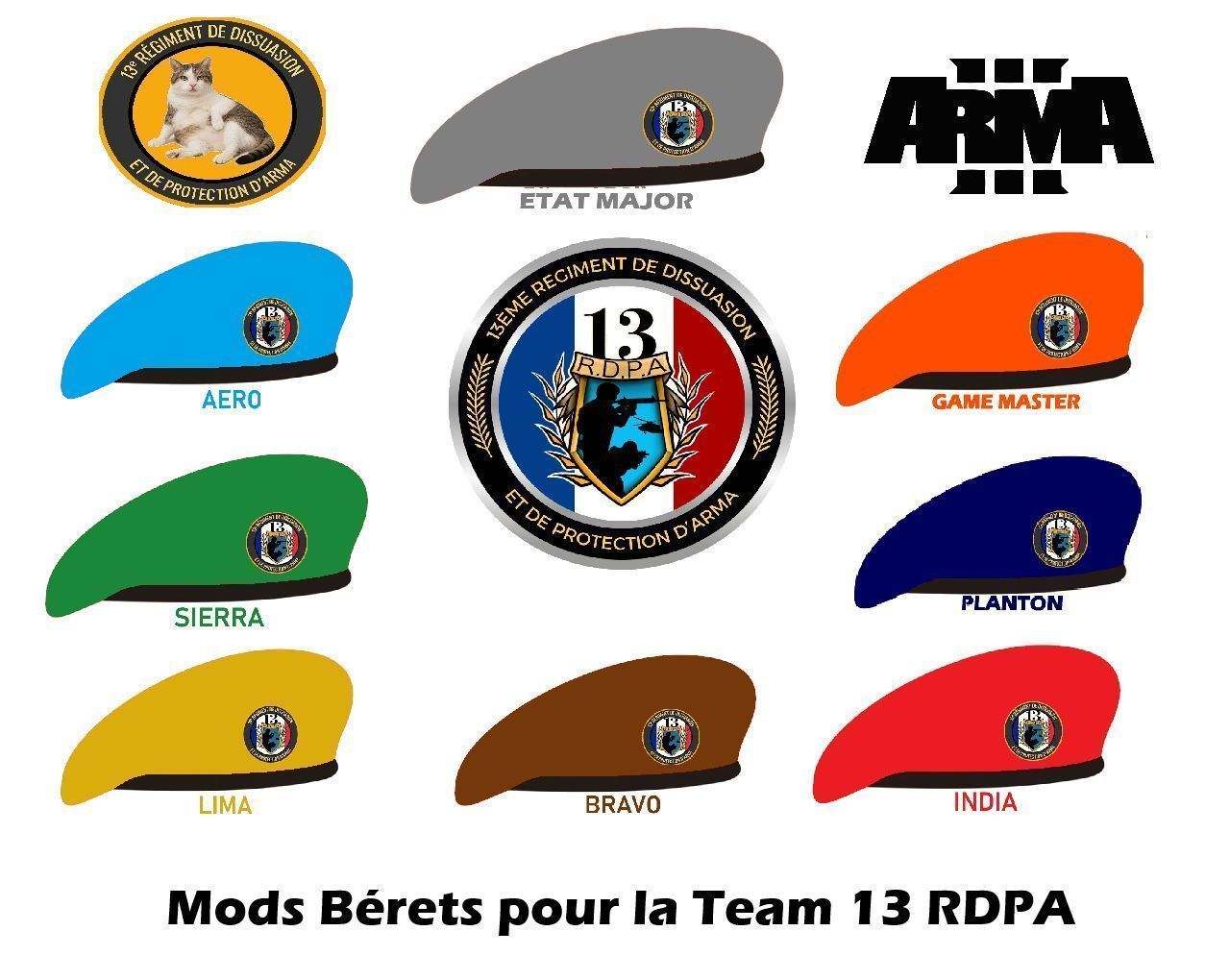 Beret + Insigne [13RDPA]