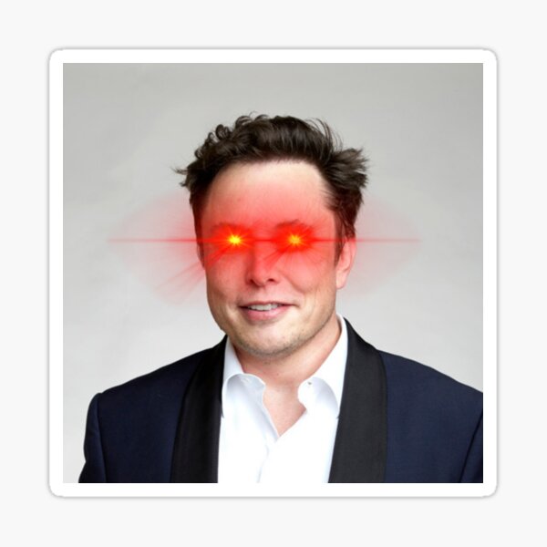 Elon Musk Project
