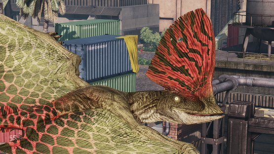 [✓] PIRARUCU Tupa + Amazonian River Tupa