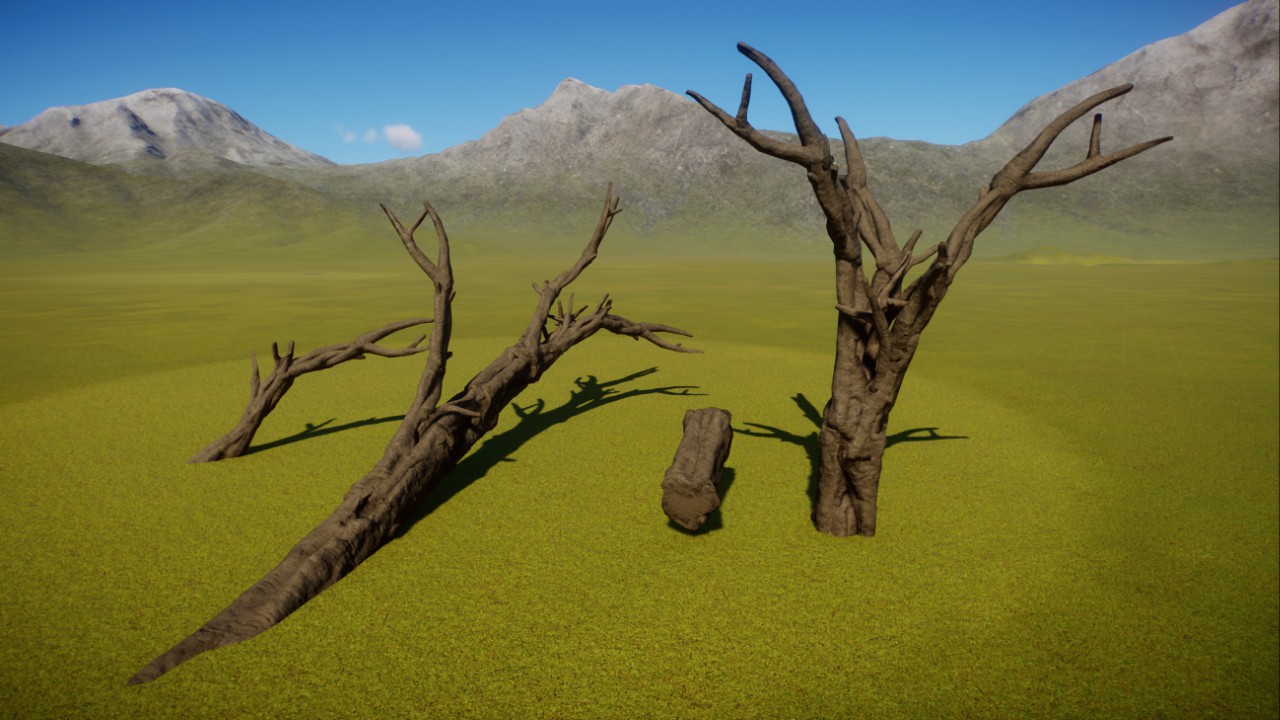 trunk preview