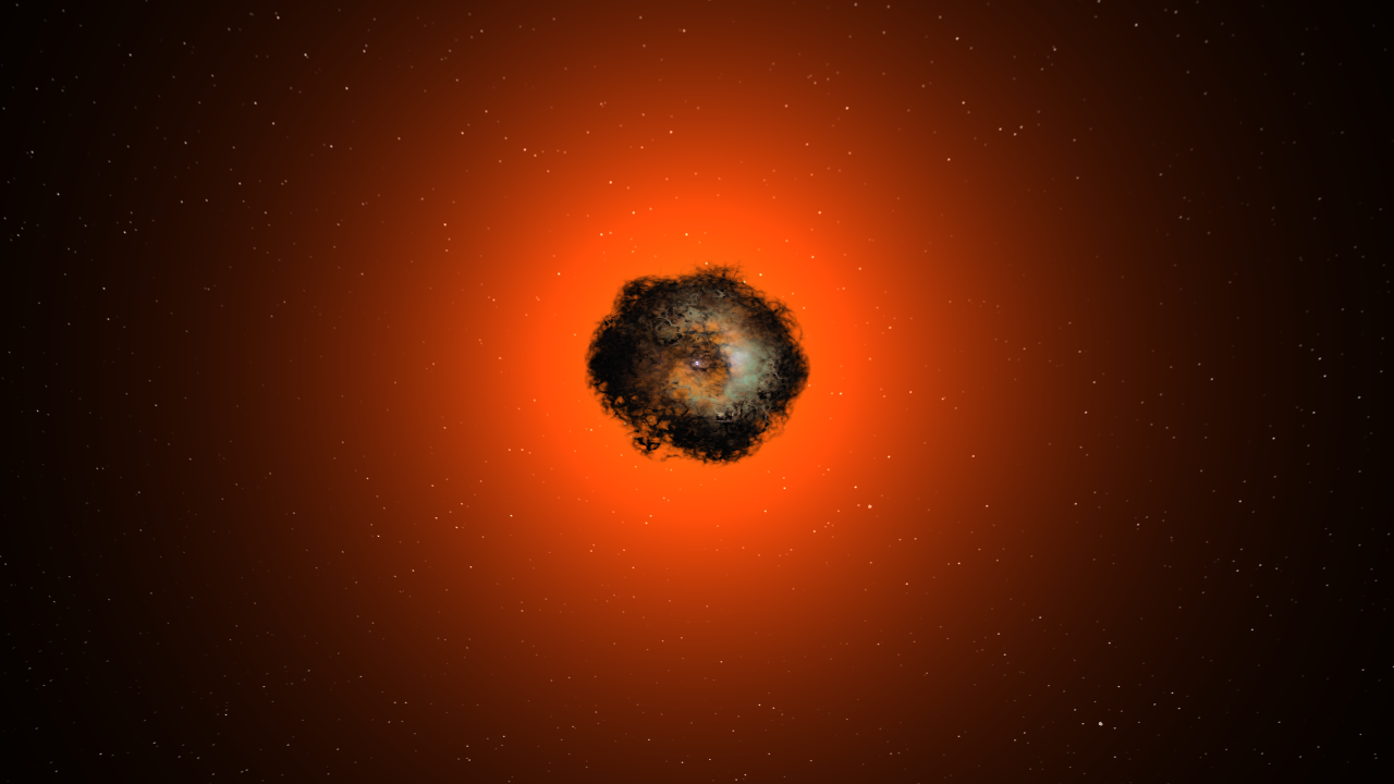 Neutron Star Supernova of a Ten Solar Mass star
