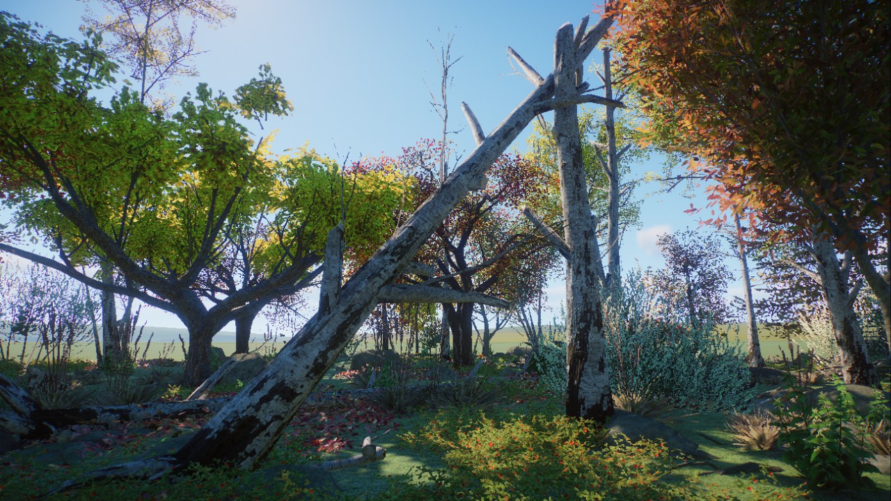 Autumn Scenery