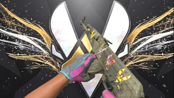 VITALITY | Showcase
 – Counter-Strike 2 Mod