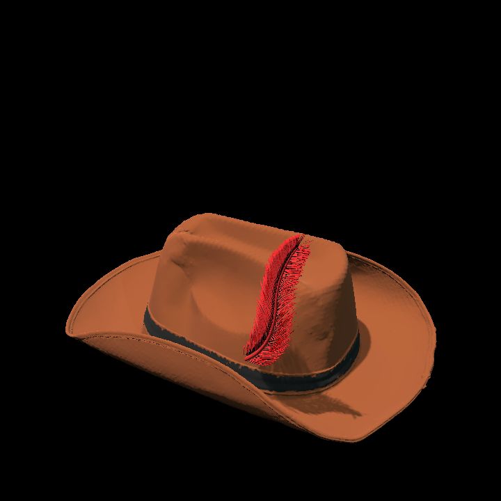 Brown hat - Red feather