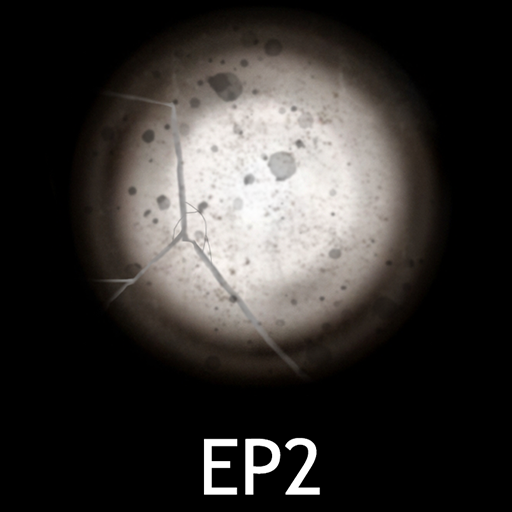 Episode Two Flashlight