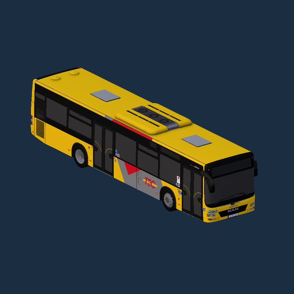 MAN 21 (LCRW) - INFOTEC