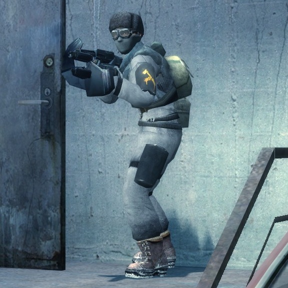 Arctic/Polar/Tundra rebels