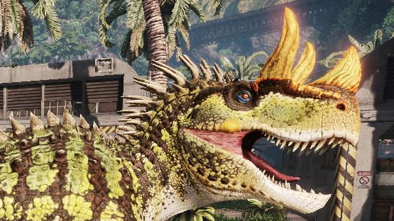 Horridus Cerato