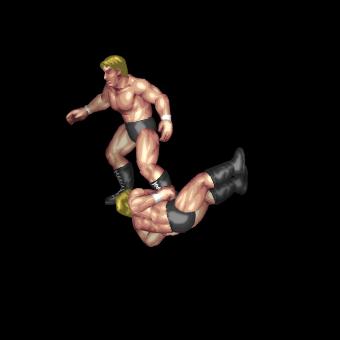 Fenix Spinning Hook Kick