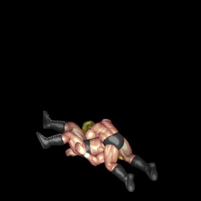 Standing Moonsault Press (face up, near legs)
