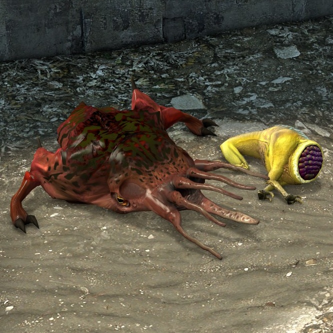 Dead Bullsquids and Houndeyes
