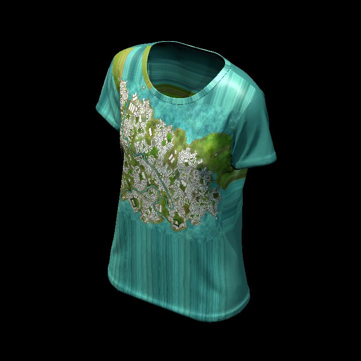 Shirt customised 11
