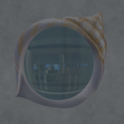 Conch Shell Mirror