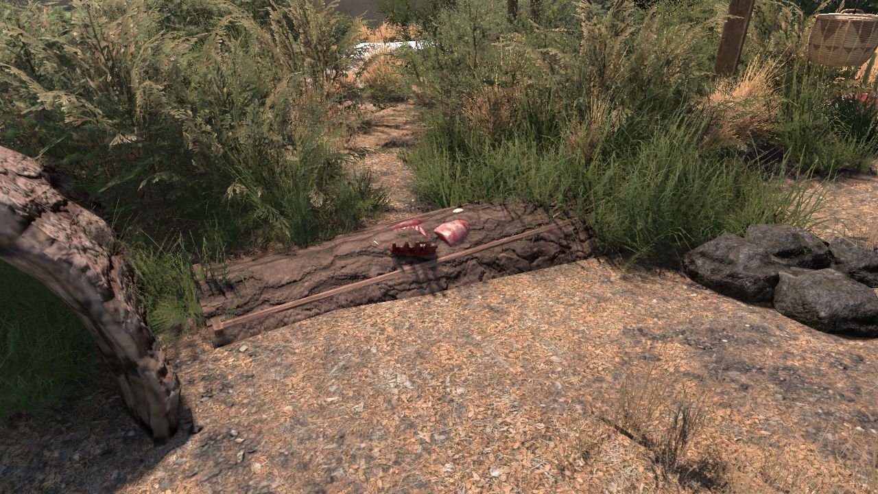 trunk with meat