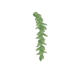 Hanging Vine