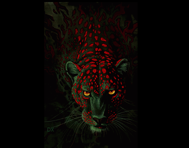 FelineSwiftness