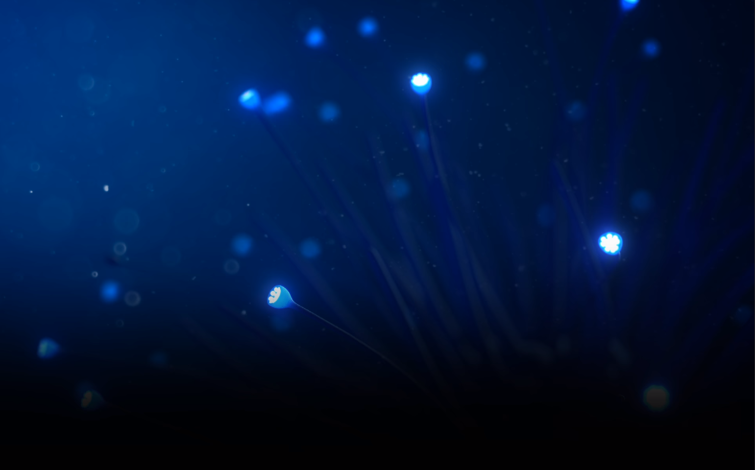 Steam Community :: Guide :: Cropped Animated Backgrounds