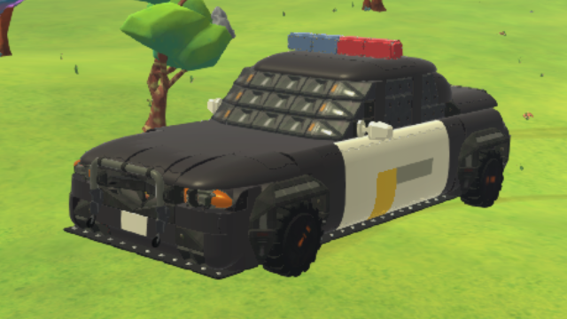 Police