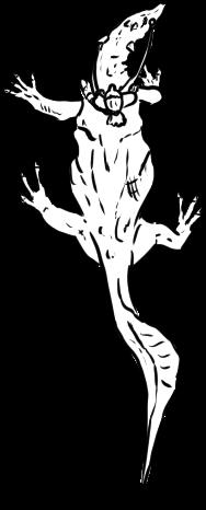 Lizard Rider A