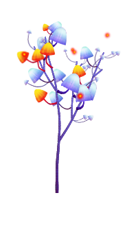 Forbidden Mushroom vine