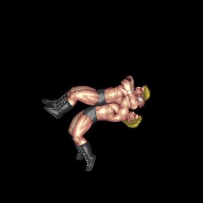 Dragon Suplex (run counter)