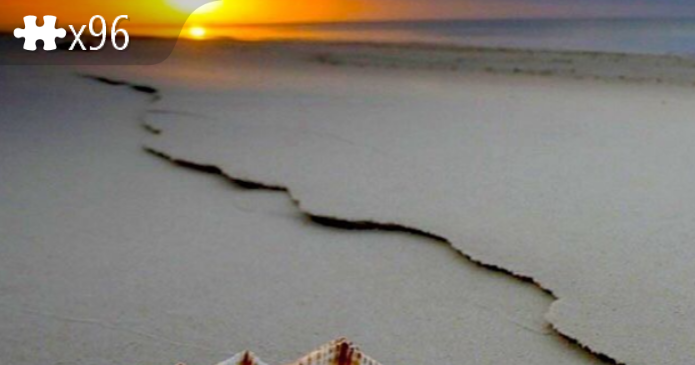 shellbeach