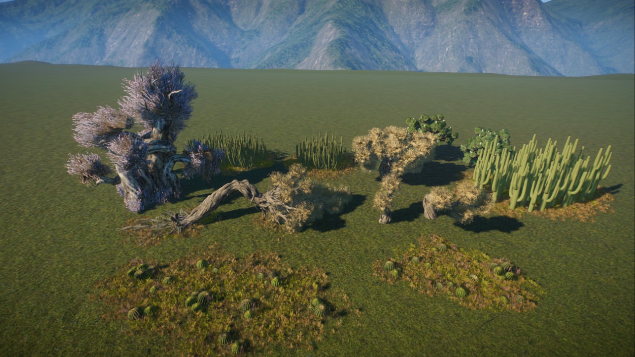 desert plants 12 pieces, Wüsten Pflanzen 12 Teile
