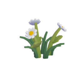 Daisies