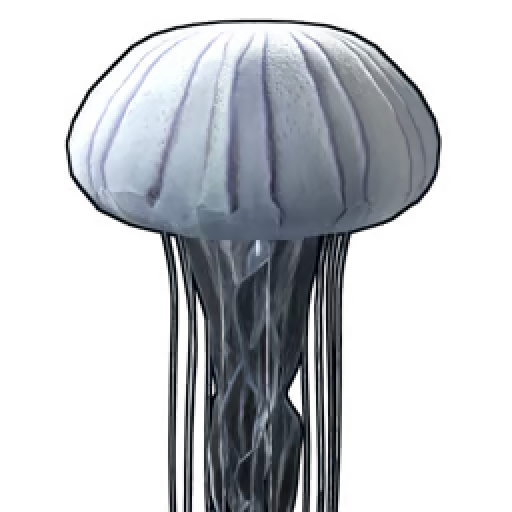 jellyfish