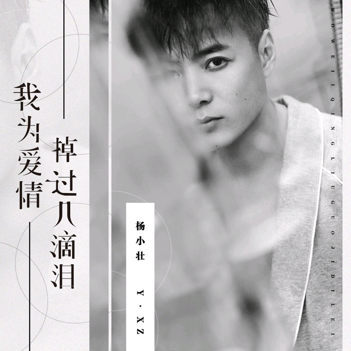 我为爱情掉过几滴泪—杨小壮