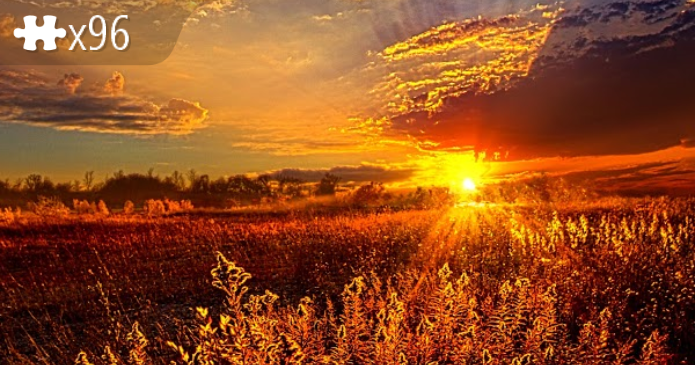HarvestDawn