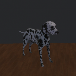 Dalmation Dog