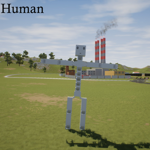 HUMAN