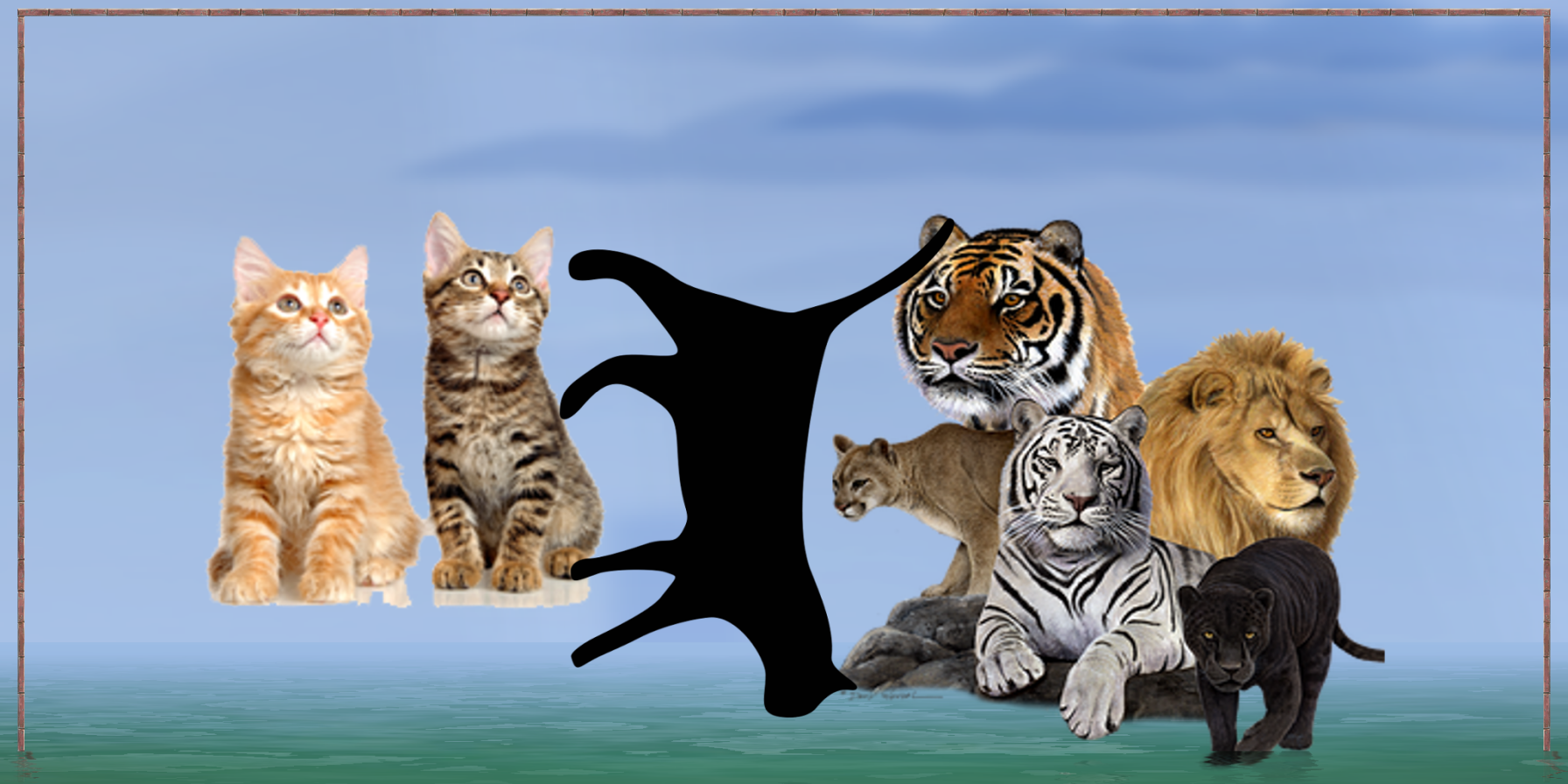 Animals (1) (Cavern)